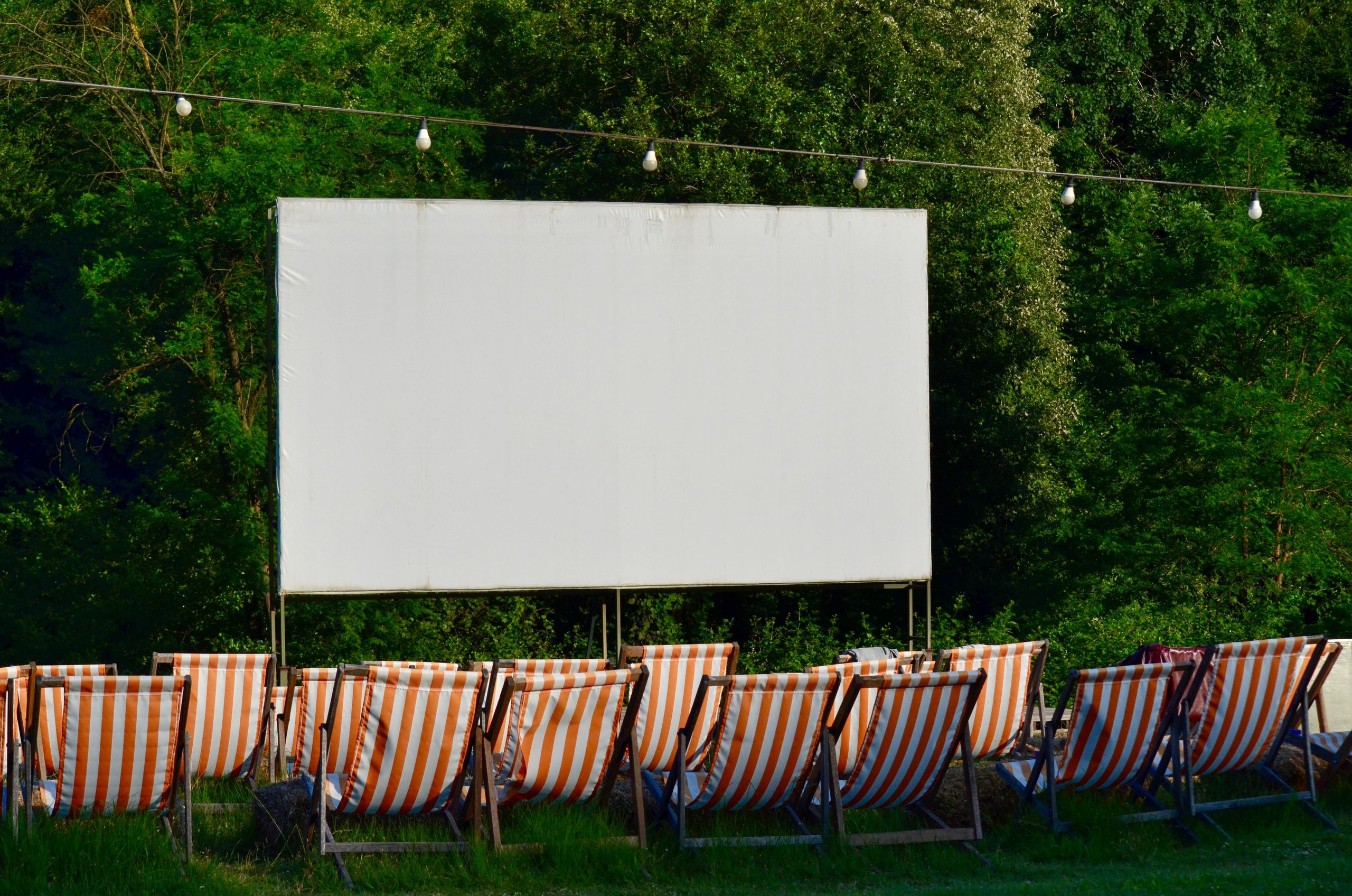What Do You Think About Setting Up Your Own Outside Movie Theater!